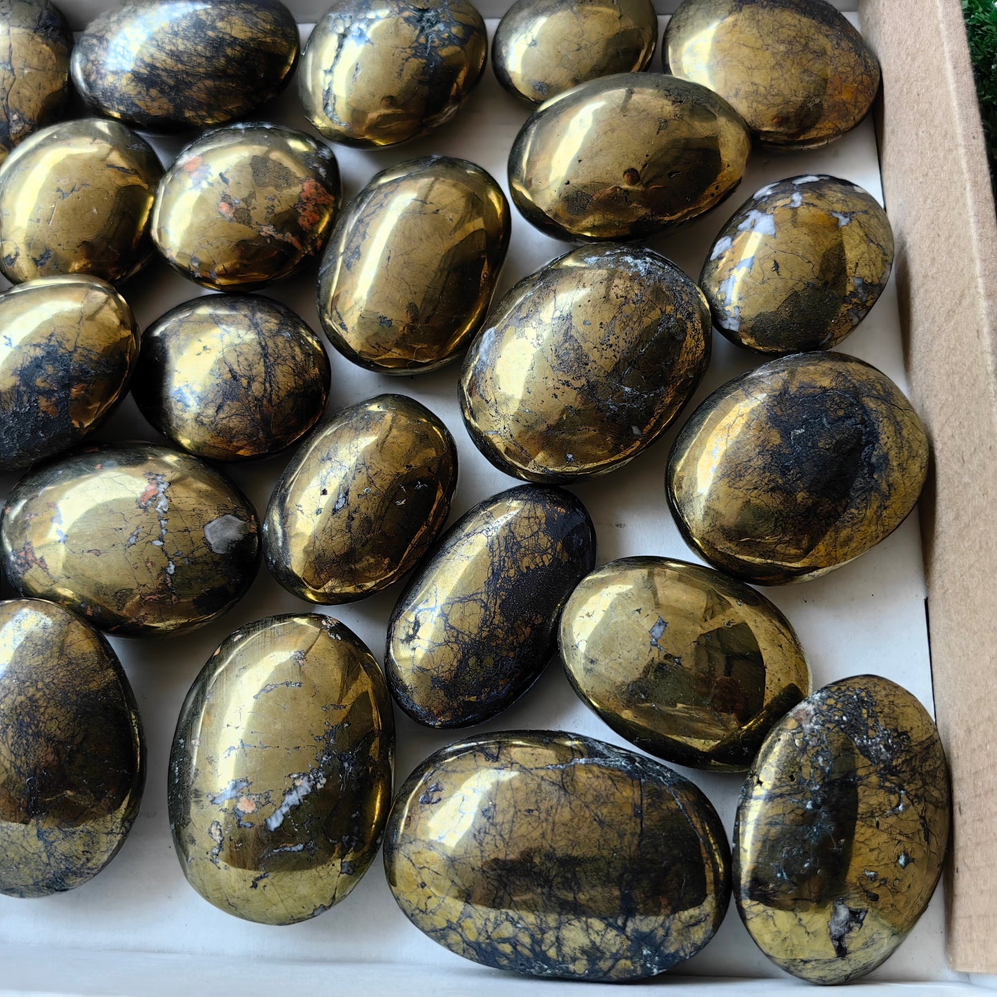 30 pc chalcopyrite with covellite hearts & palms