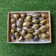 25 pc chalcopyrite with covellite hearts & free forms