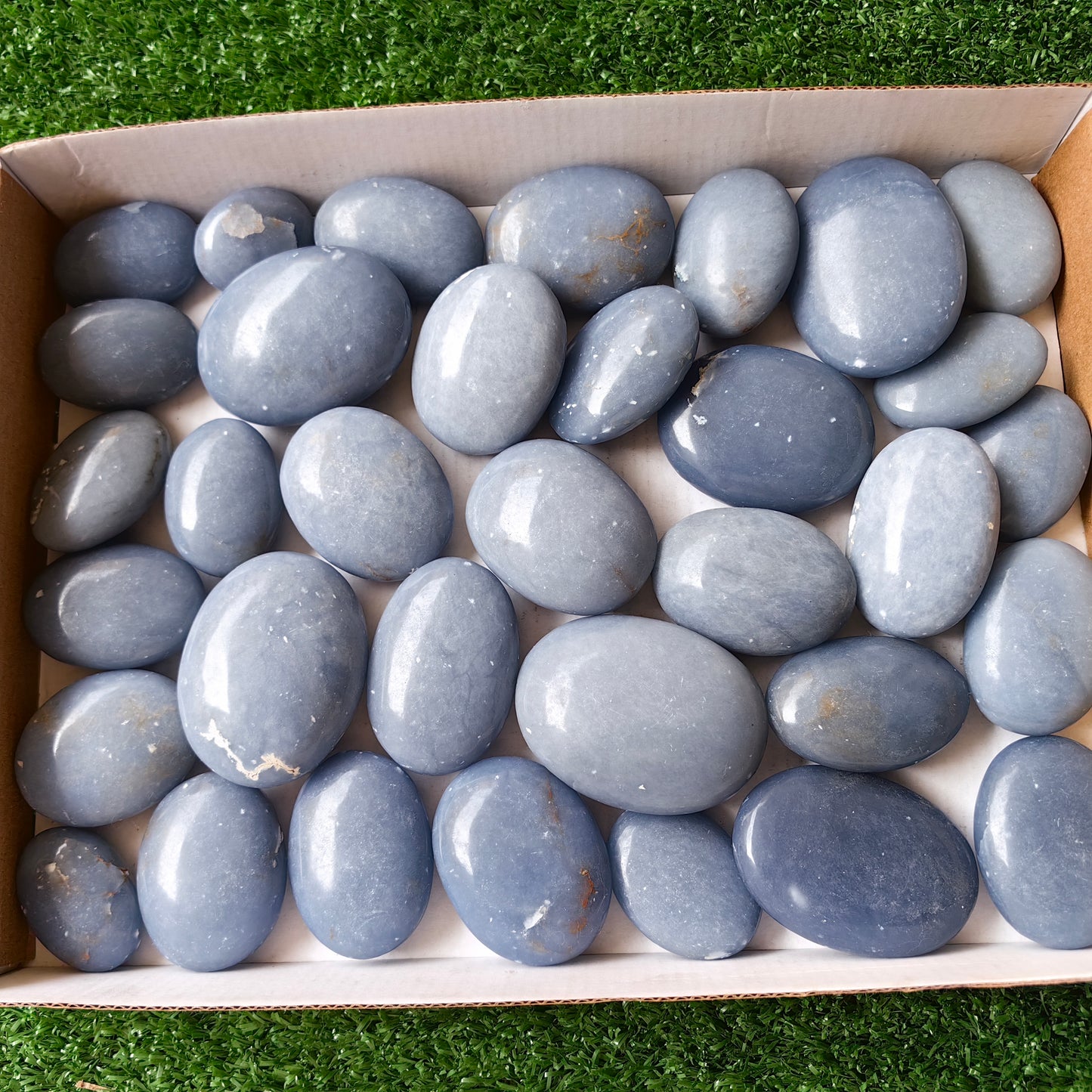 30 pc angelite palms