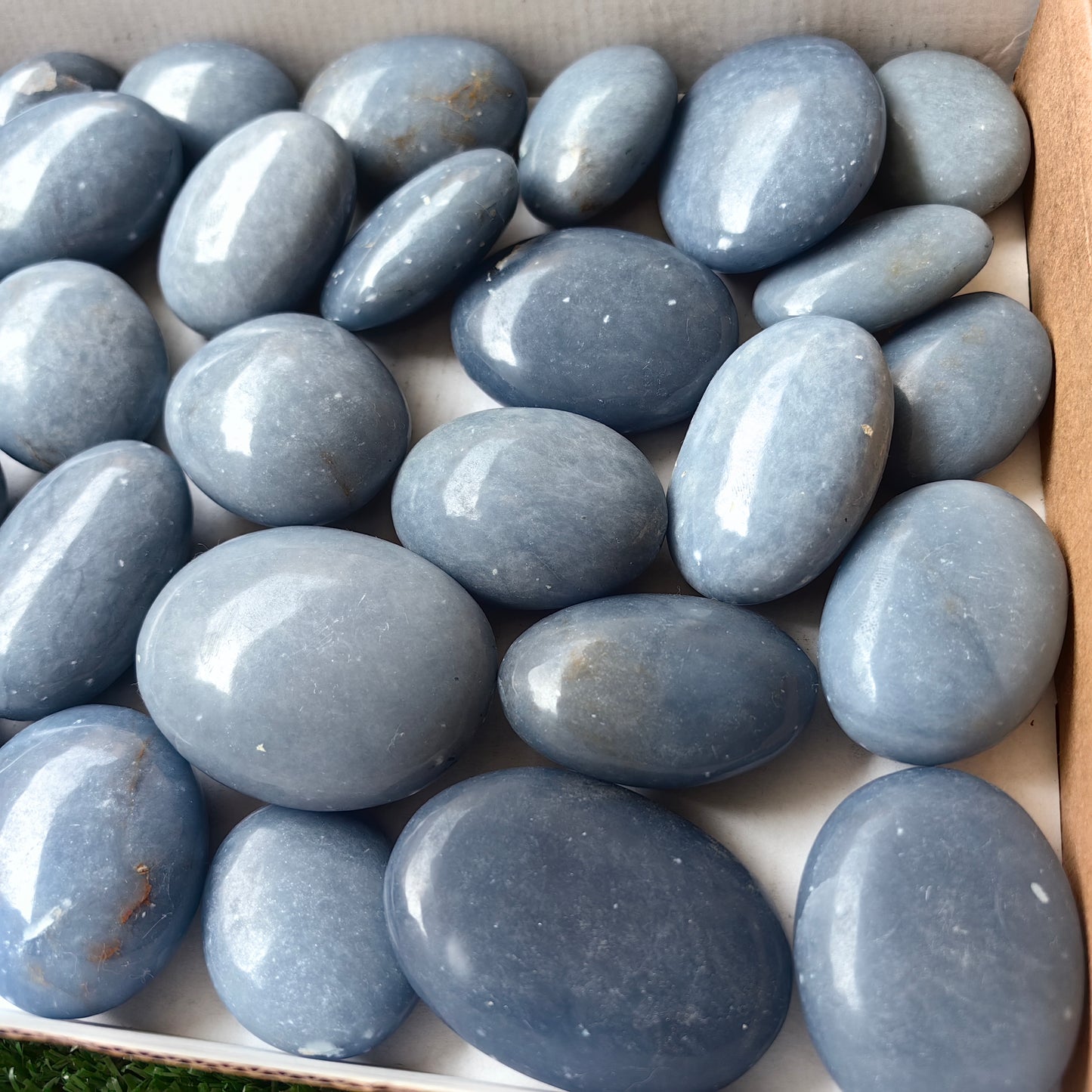 30 pc angelite palms