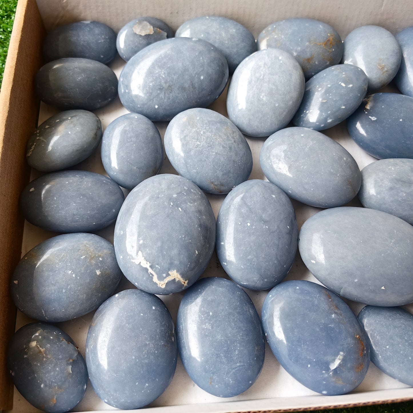 30 pc angelite palms
