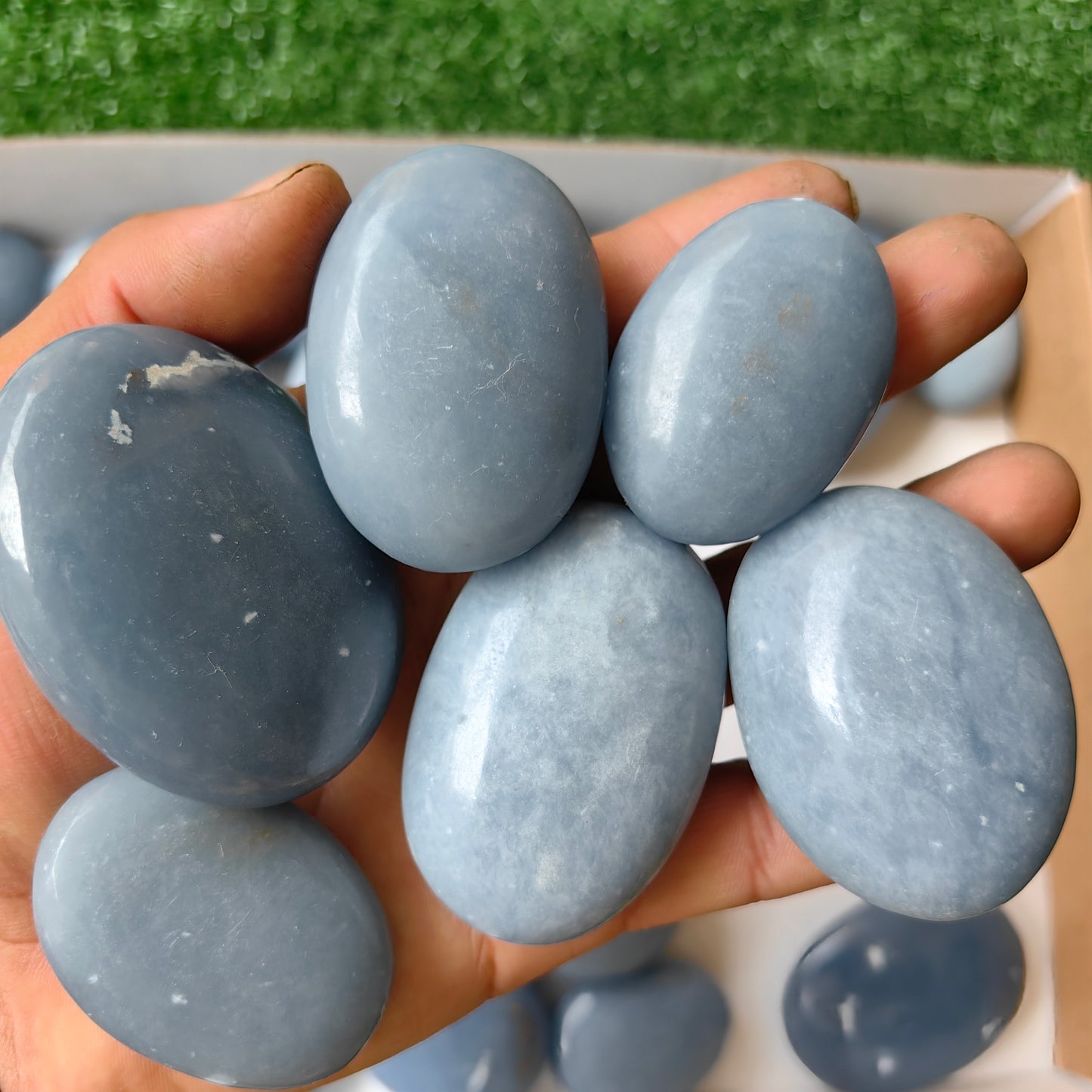 30 pc angelite palms