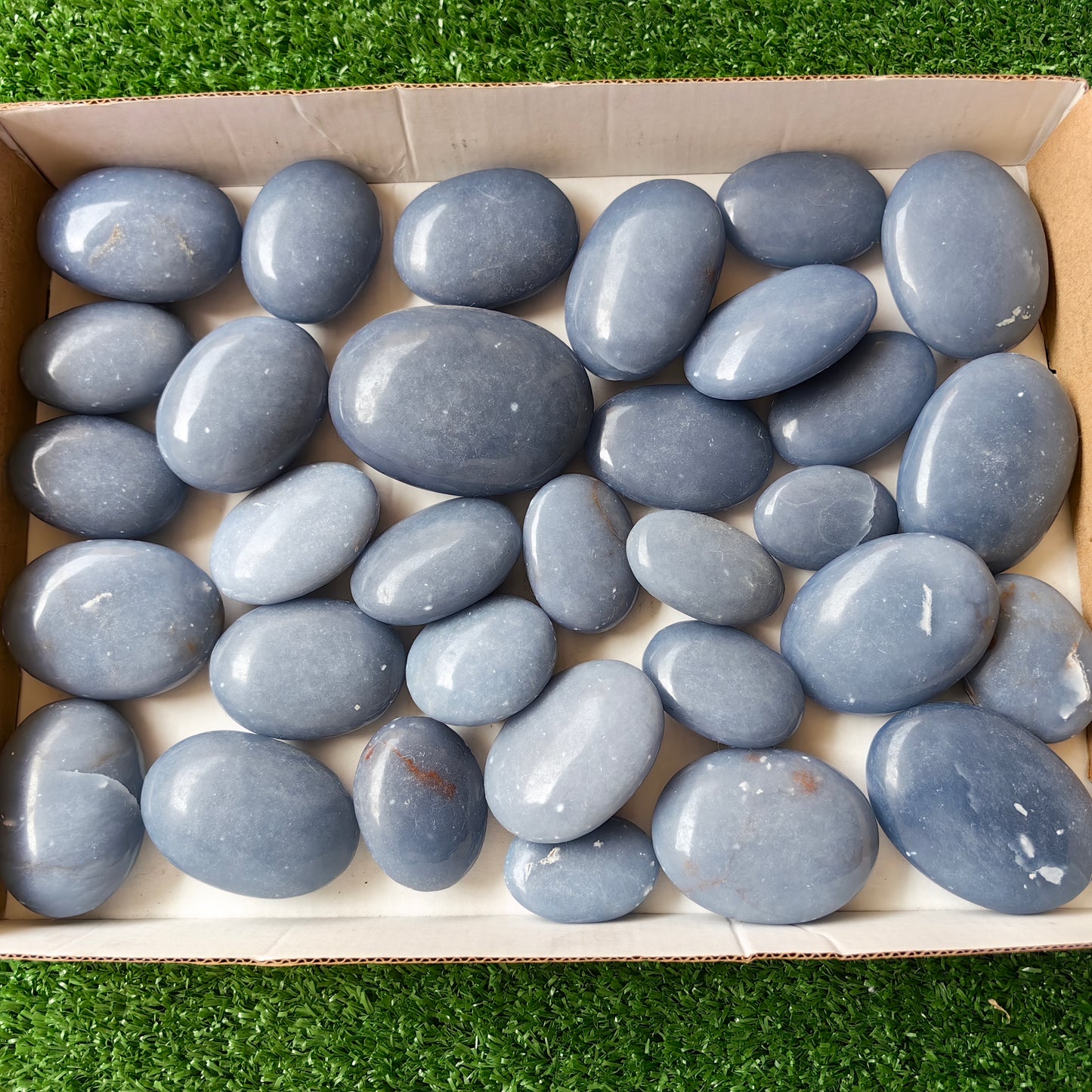 32 pc blue angelite palms
