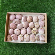 26 pc phosphosiderite drusy palms