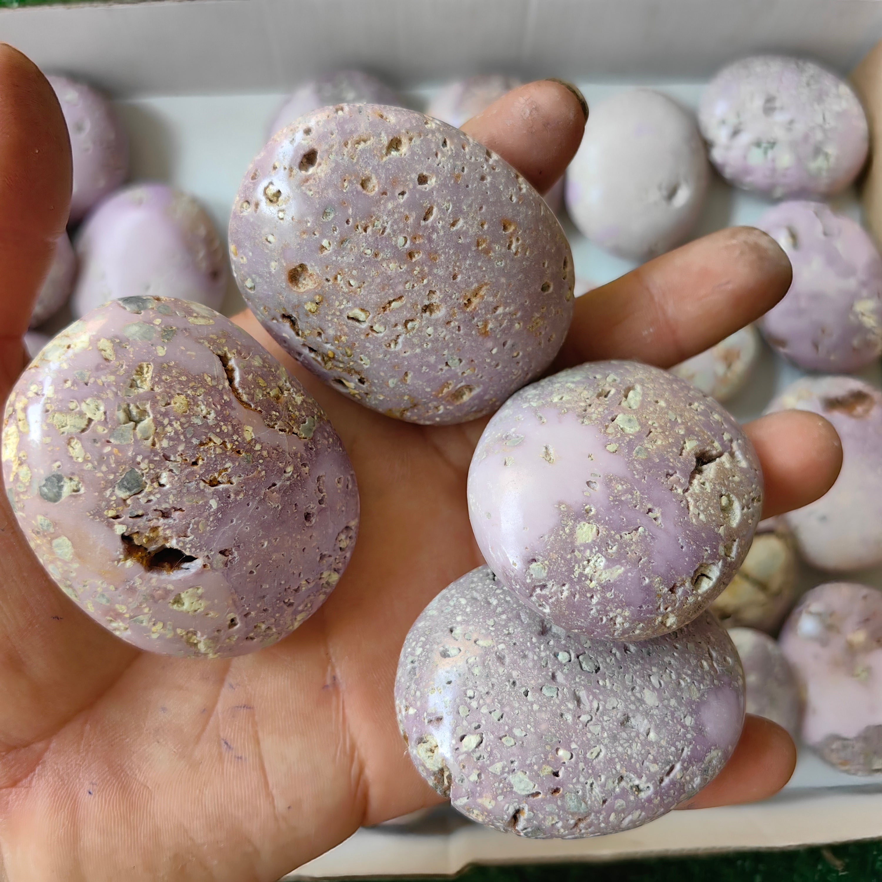 26 pc phosphosiderite drusy palms