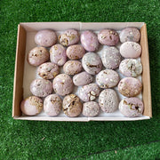 26 pc phosphosiderite drusy palms