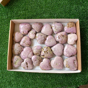 24 pc phosphosiderite drusy hearts