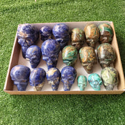 18 pc skull mixted chrysocolla & sodalite