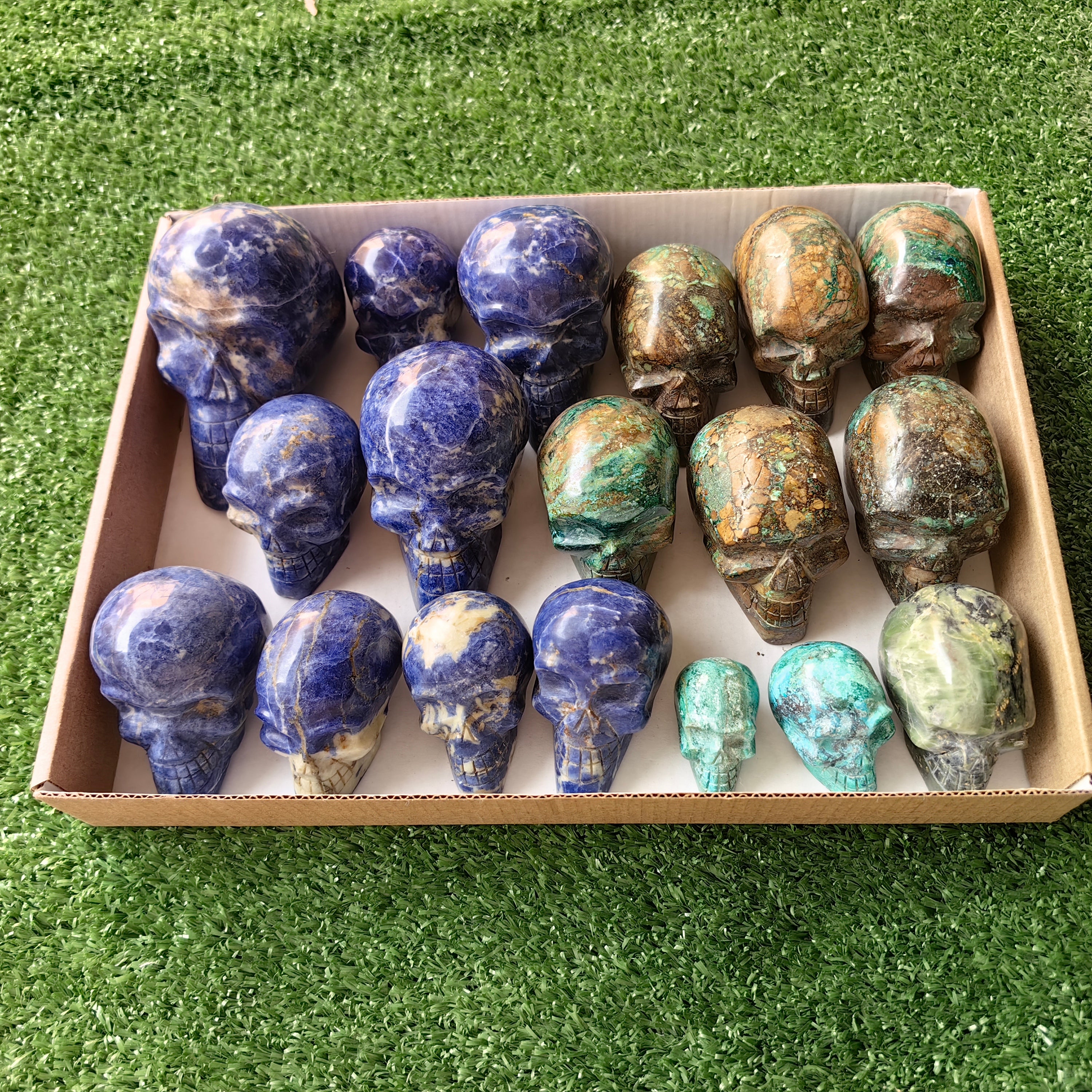 18 pc skull mixted chrysocolla & sodalite