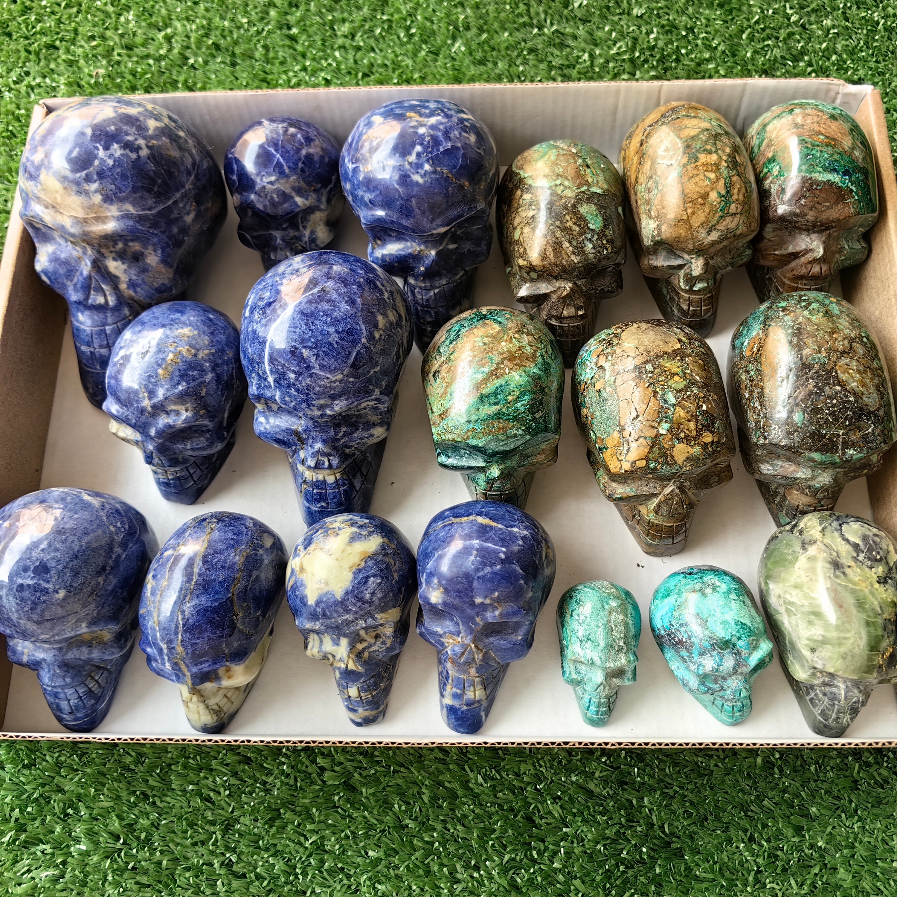 18 pc skull mixted chrysocolla & sodalite