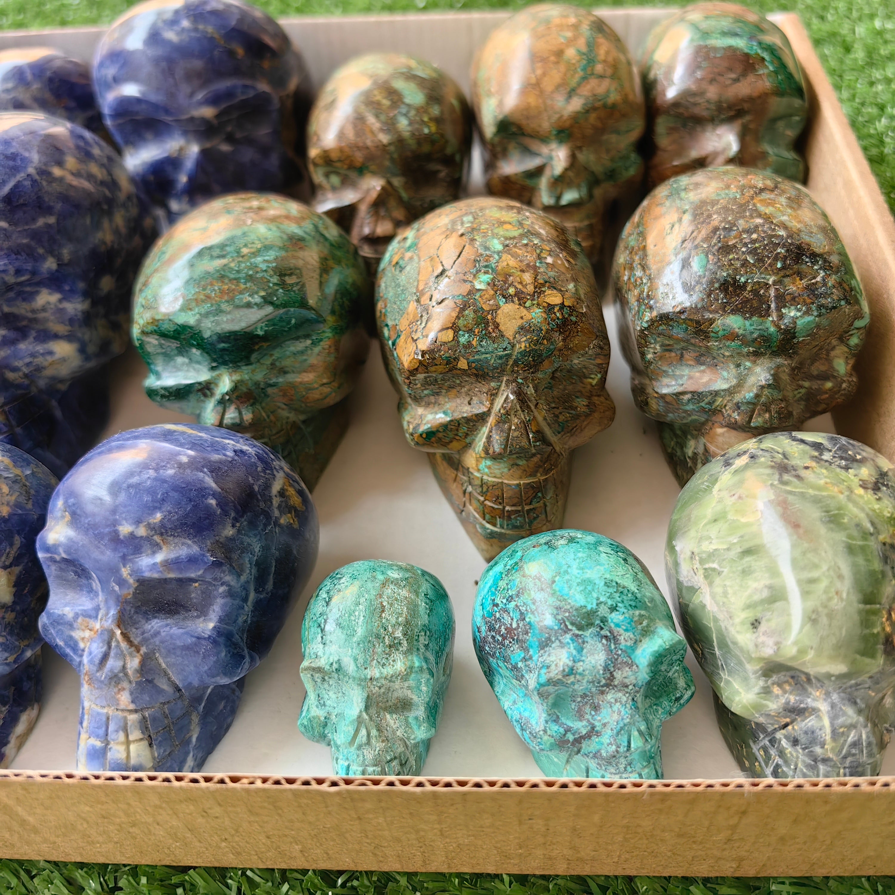 18 pc skull mixted chrysocolla & sodalite
