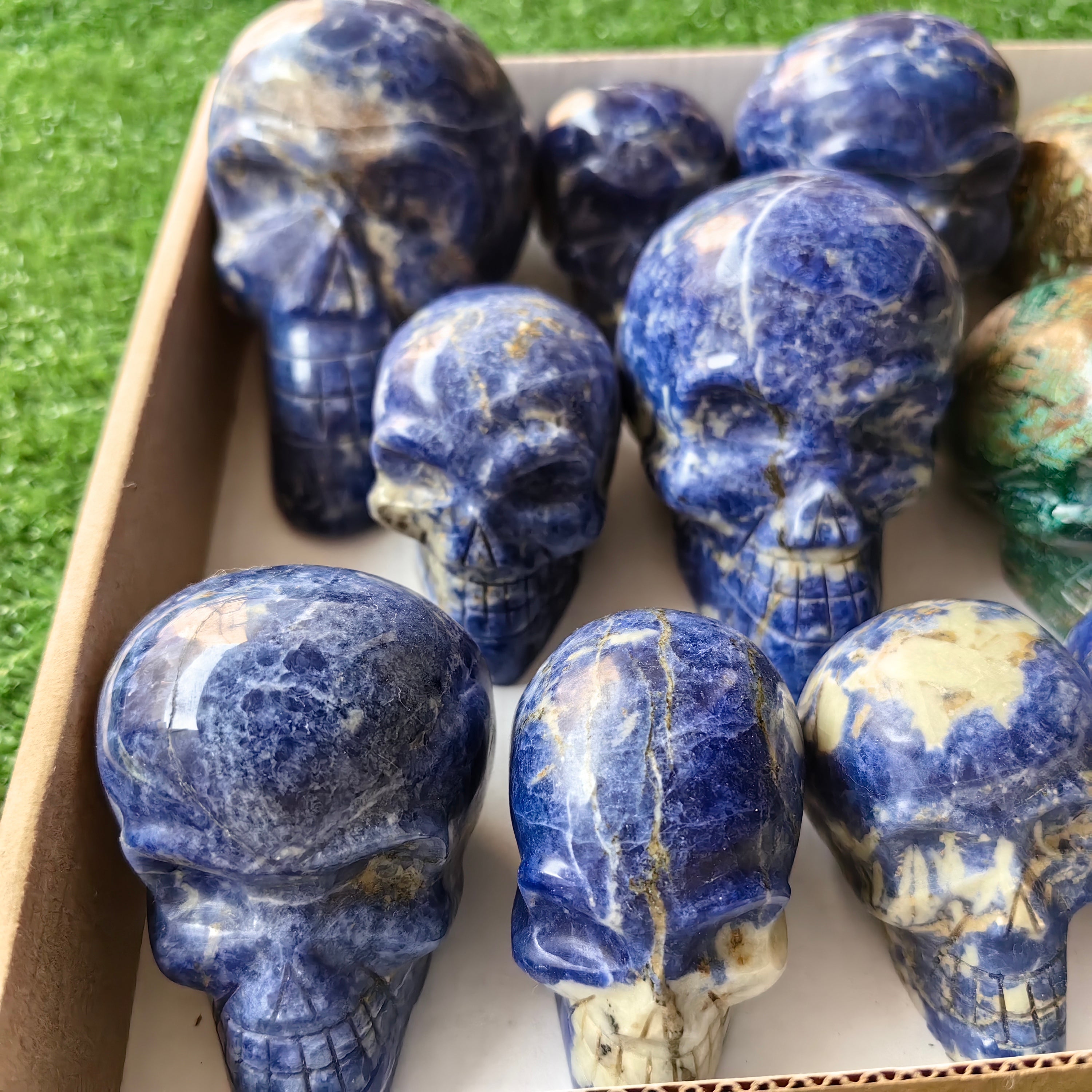 18 pc skull mixted chrysocolla & sodalite