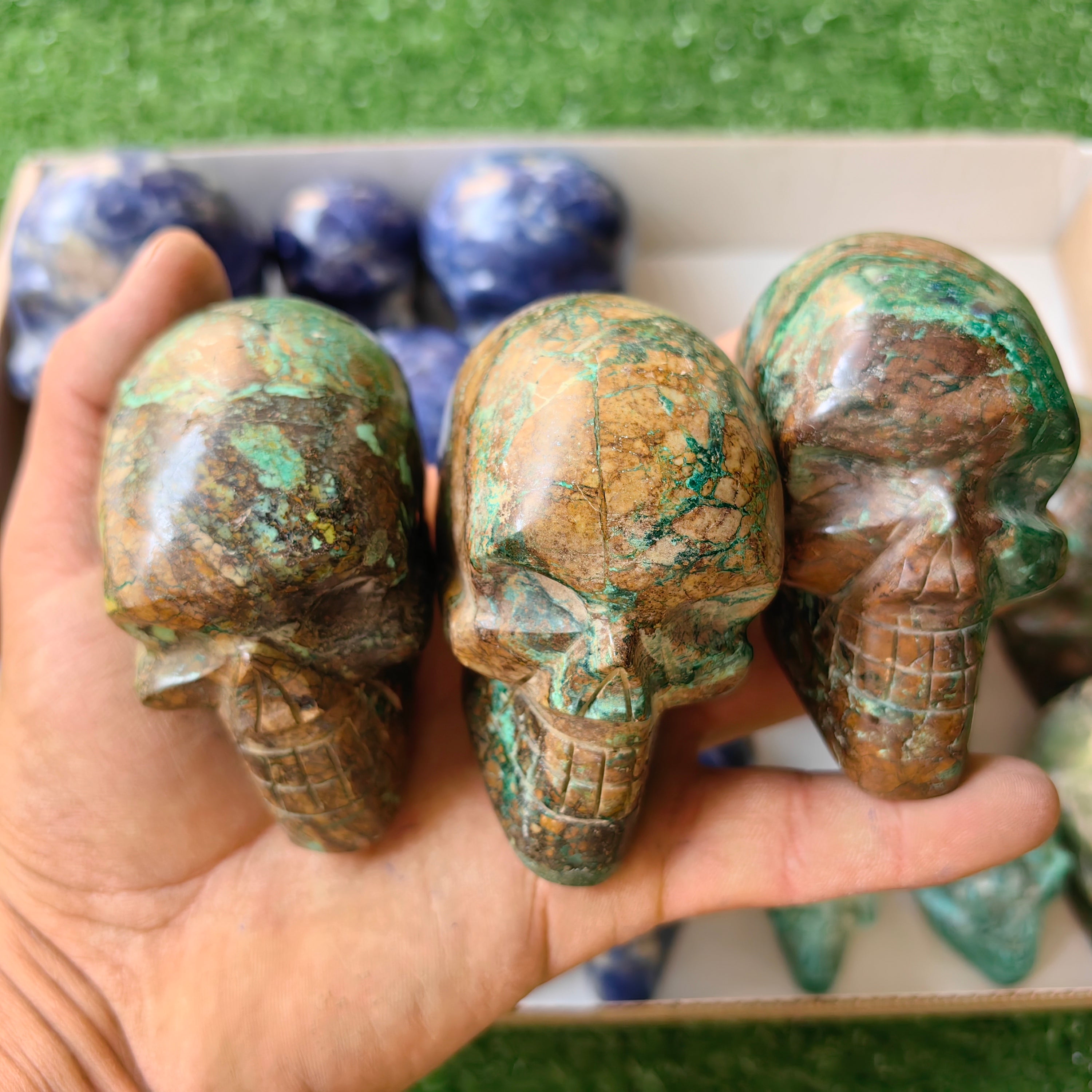18 pc skull mixted chrysocolla & sodalite