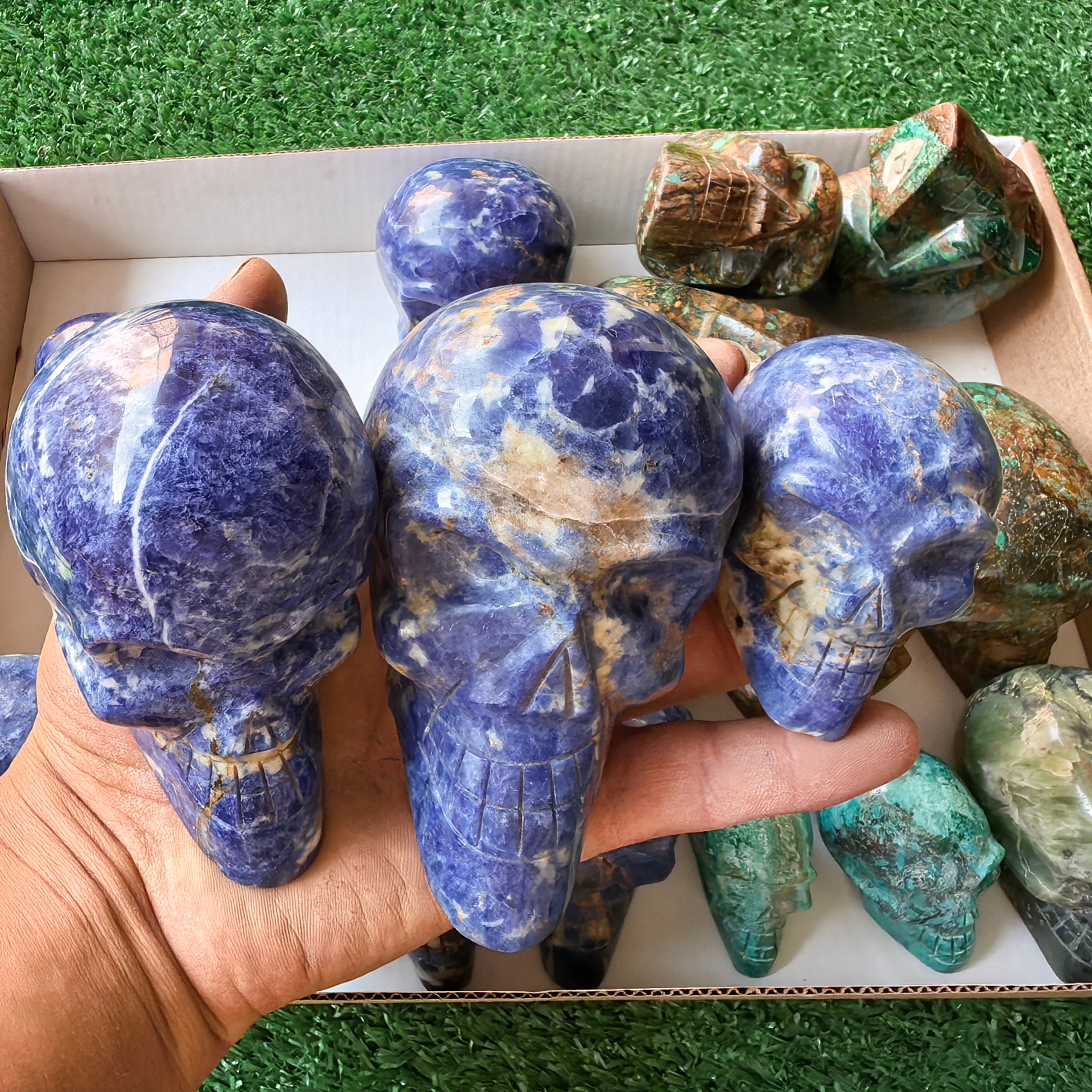 18 pc skull mixted chrysocolla & sodalite