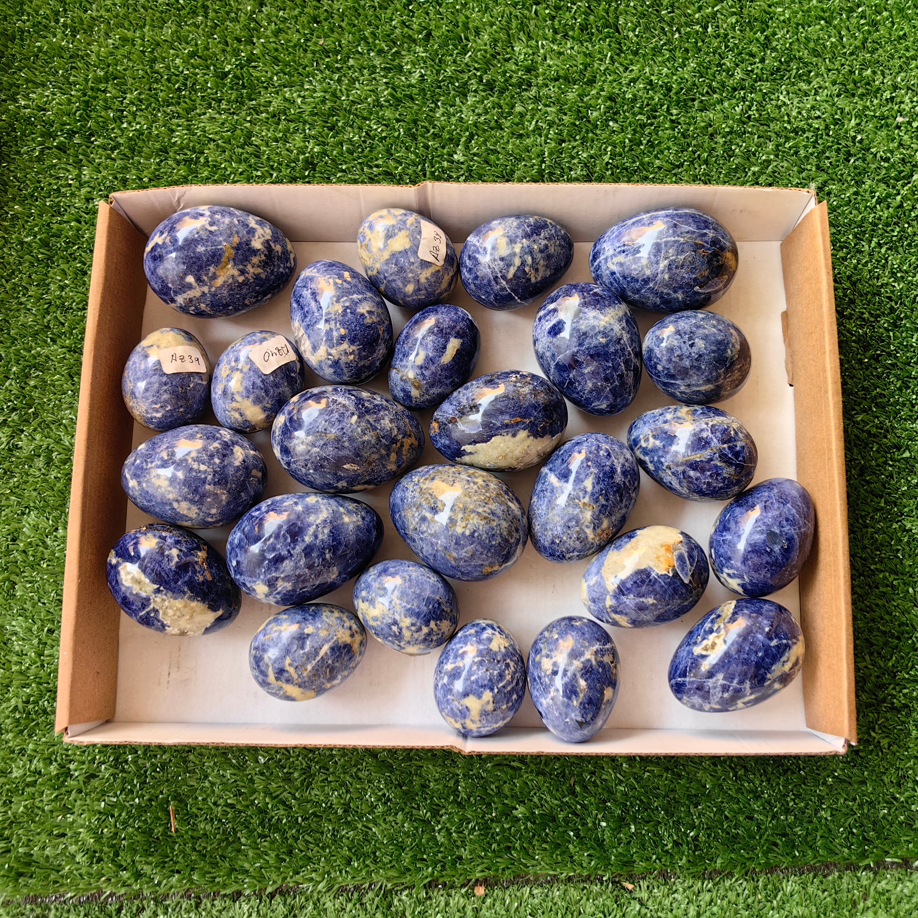 25 pc blue sodalite eggs