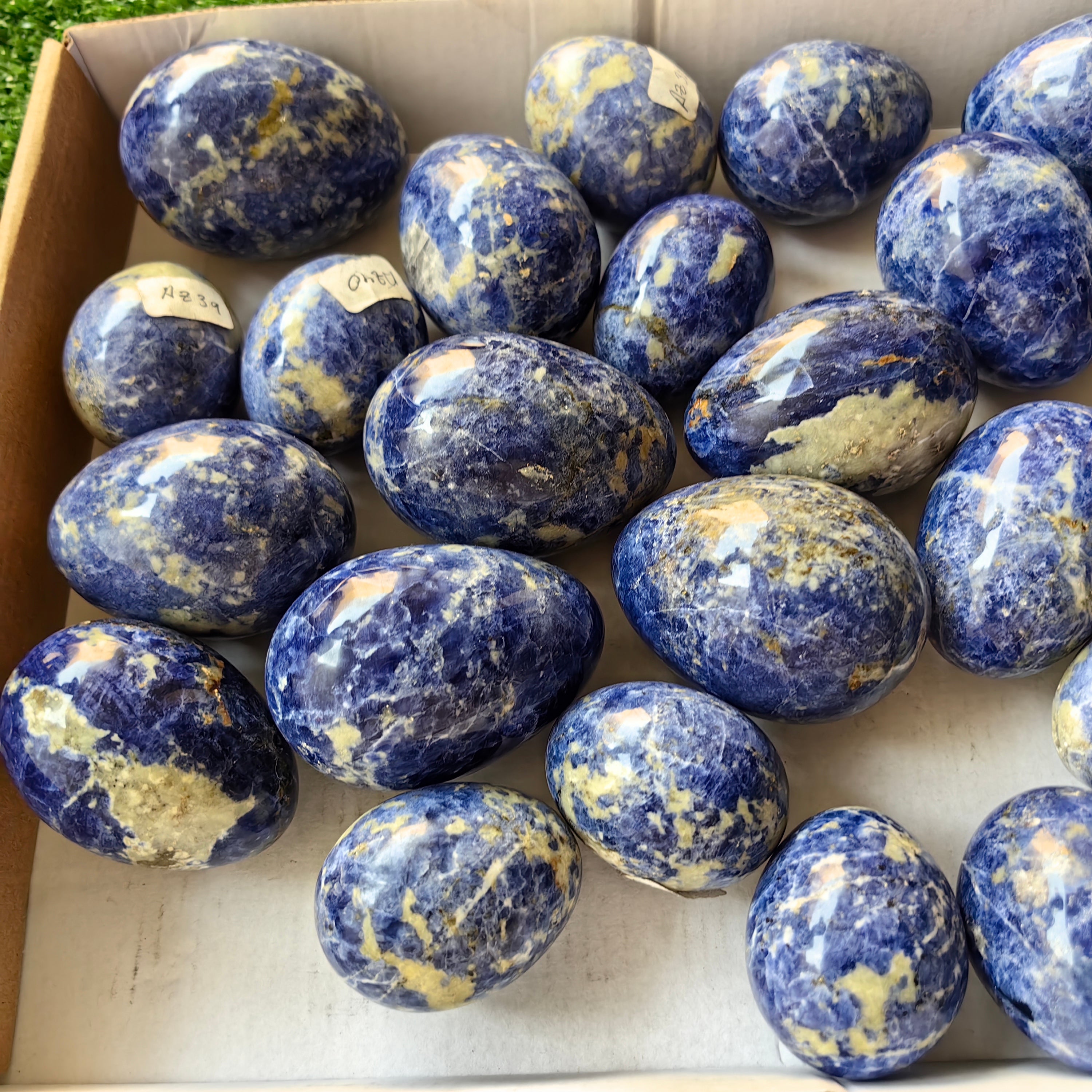 25 pc blue sodalite eggs