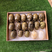 17 pc mixted skulls epidote & white onix