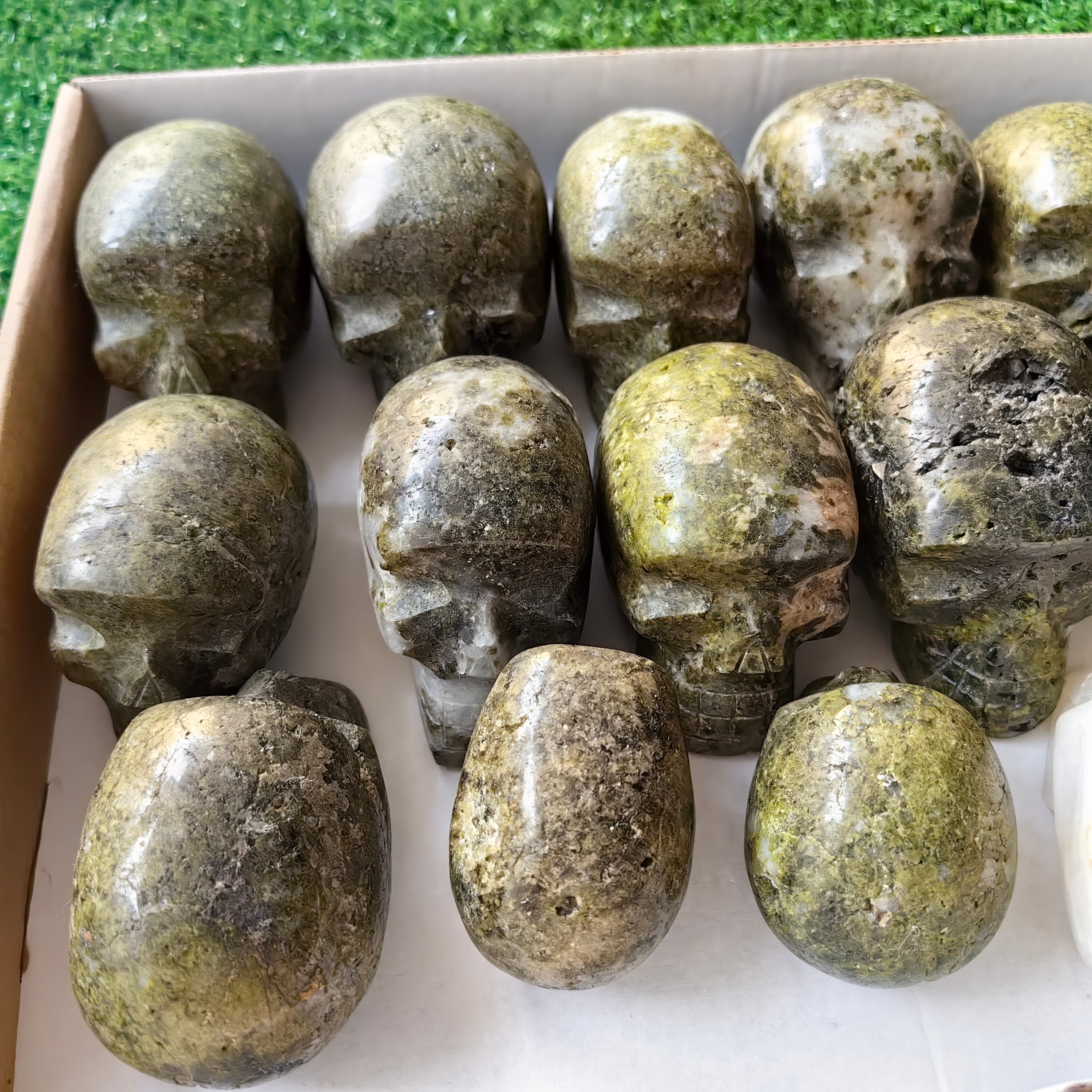 17 pc mixted skulls epidote & white onix