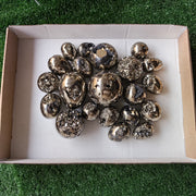 20 pc pyrite spheres / eggs with octactahedral & sphalerite drusy