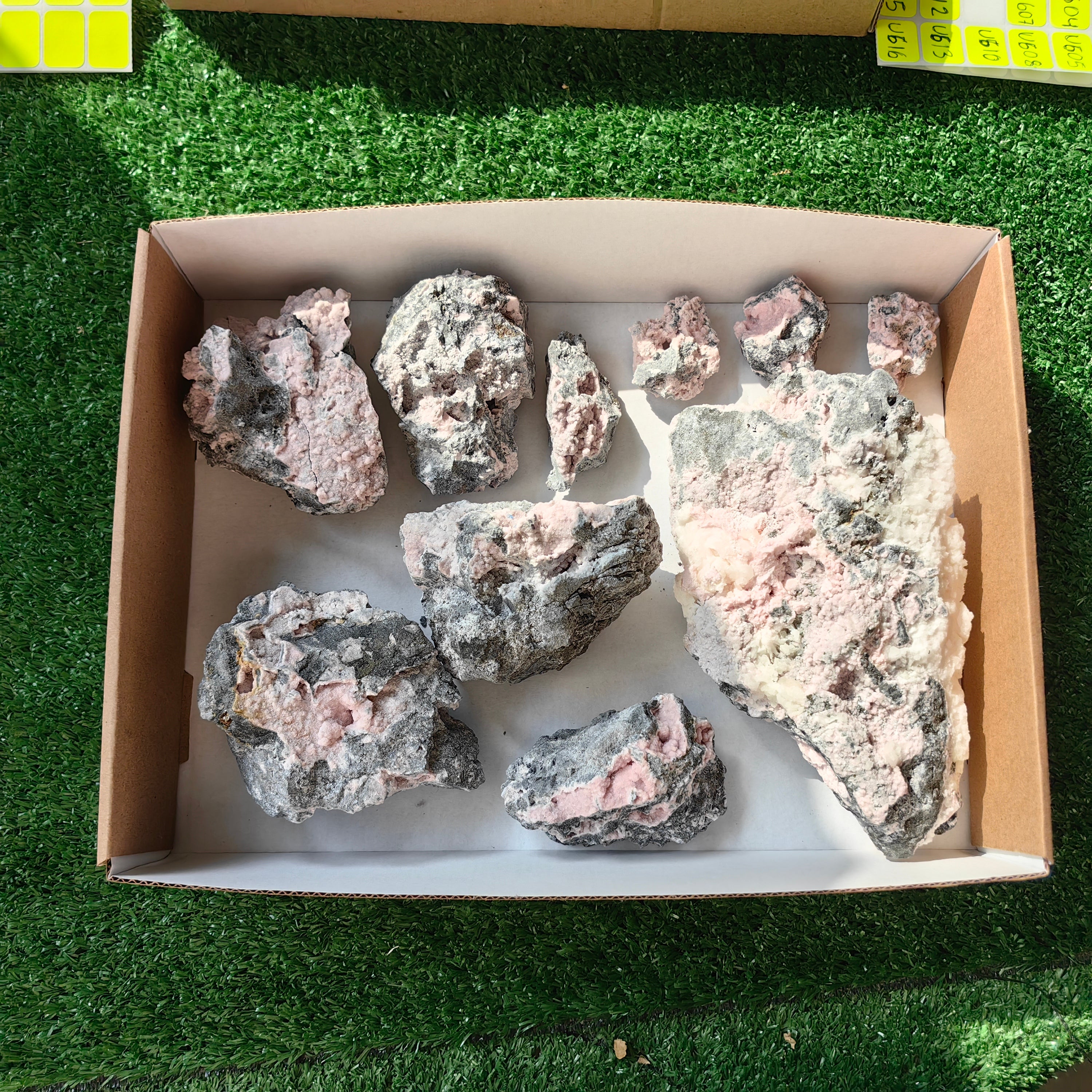 10 rhodochrosite quartz crystals specimen PERU