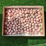 2 kg tumbled rhodonite