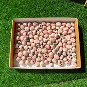 2 kg tumbled rhodonite