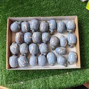 26 pc blue angelite skulls