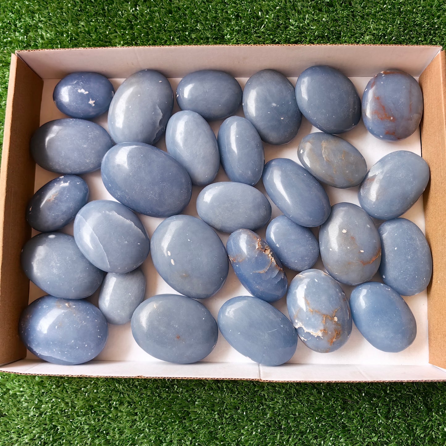 28 pc blue angelite palms