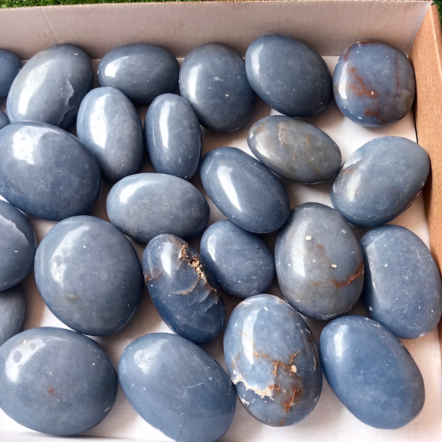 28 pc blue angelite palms