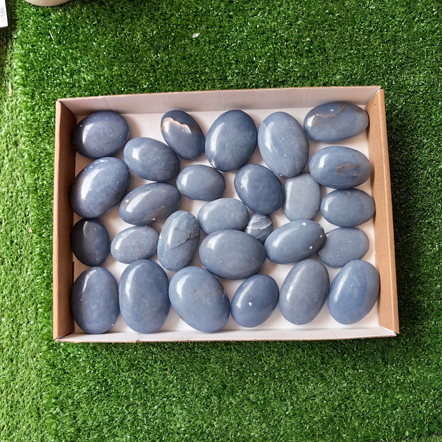 27 pc blue angelite palms