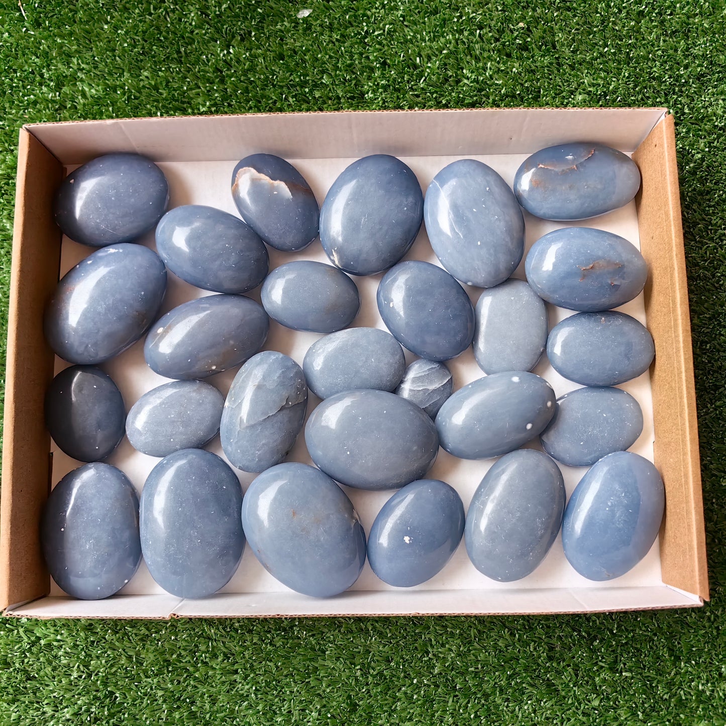 27 pc blue angelite palms