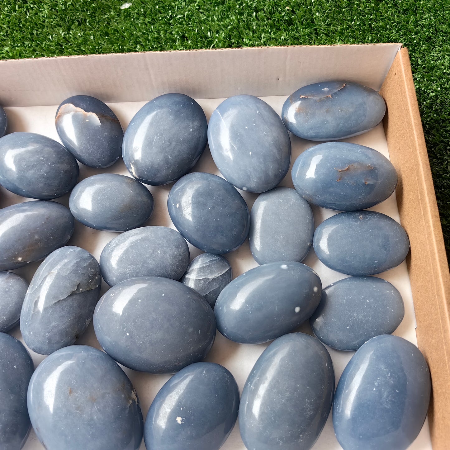 27 pc blue angelite palms