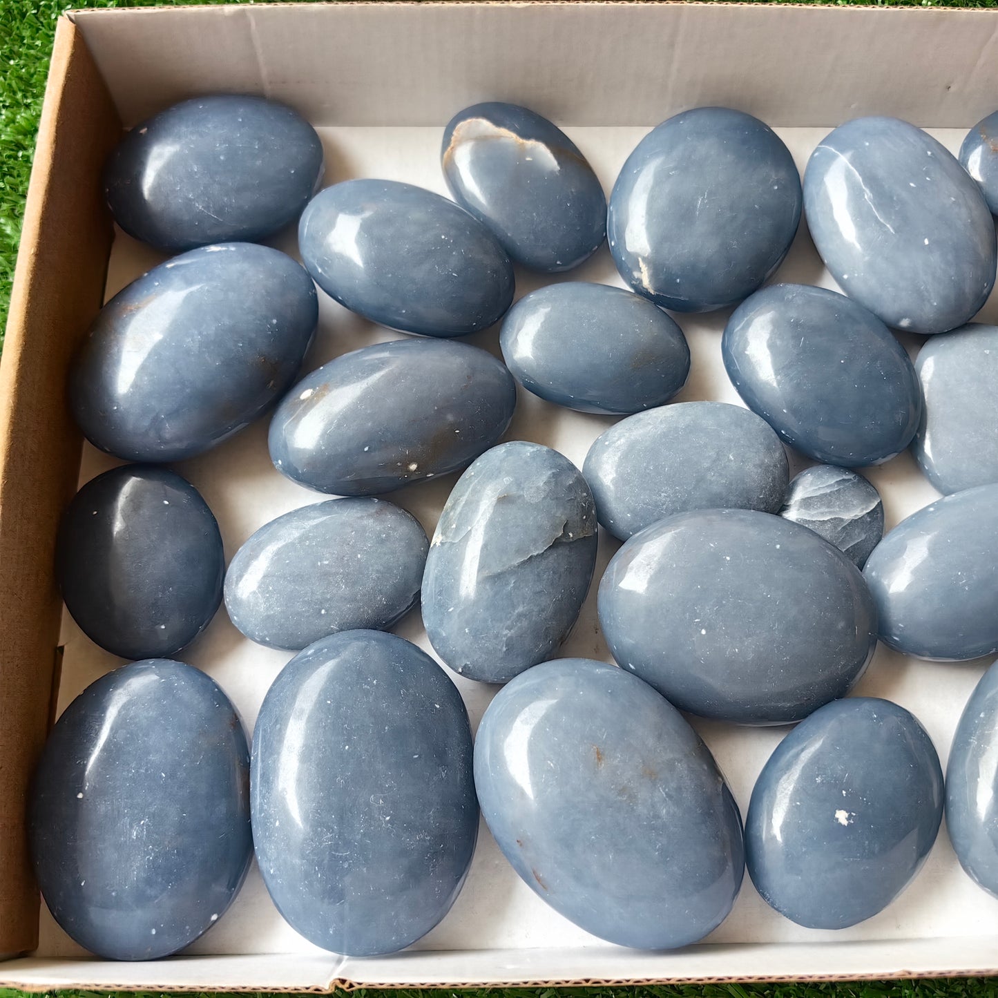 27 pc blue angelite palms