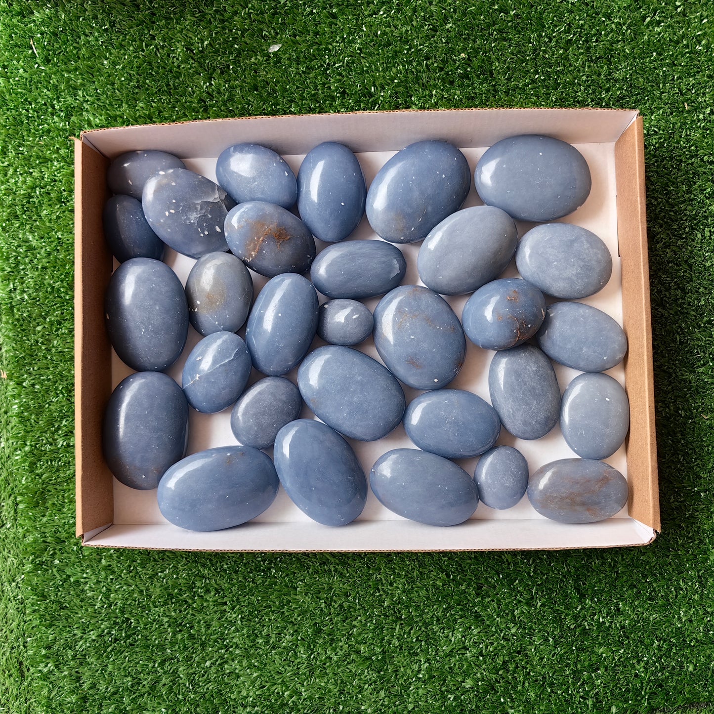 30 pc blue angelite palms