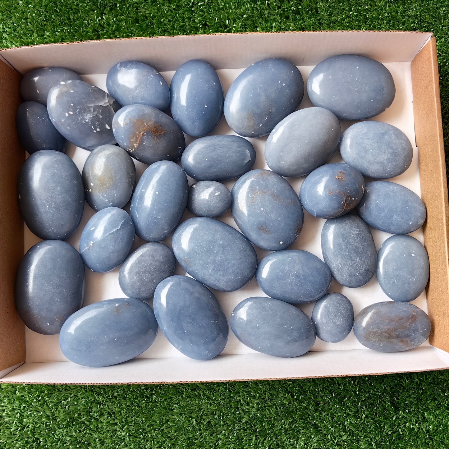 30 pc blue angelite palms