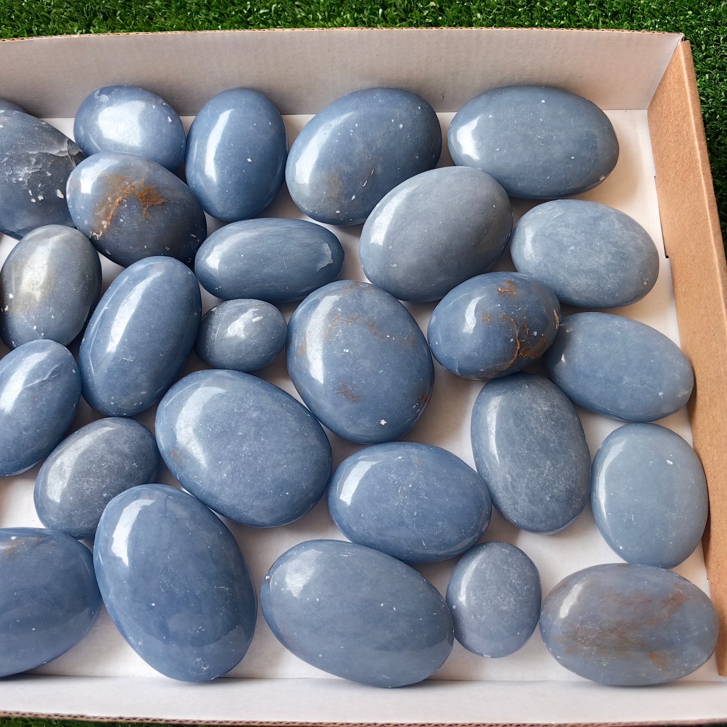 30 pc blue angelite palms