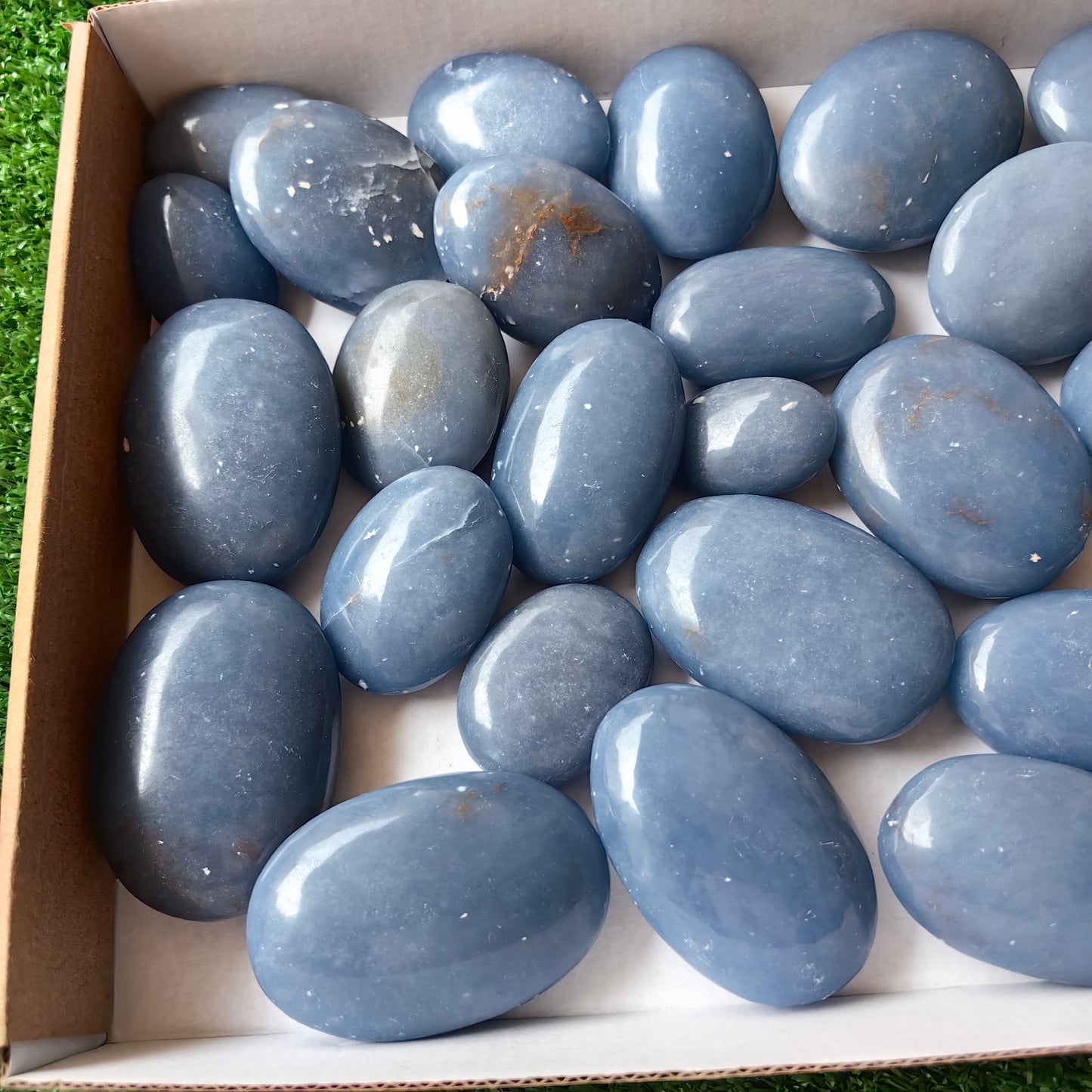 30 pc blue angelite palms