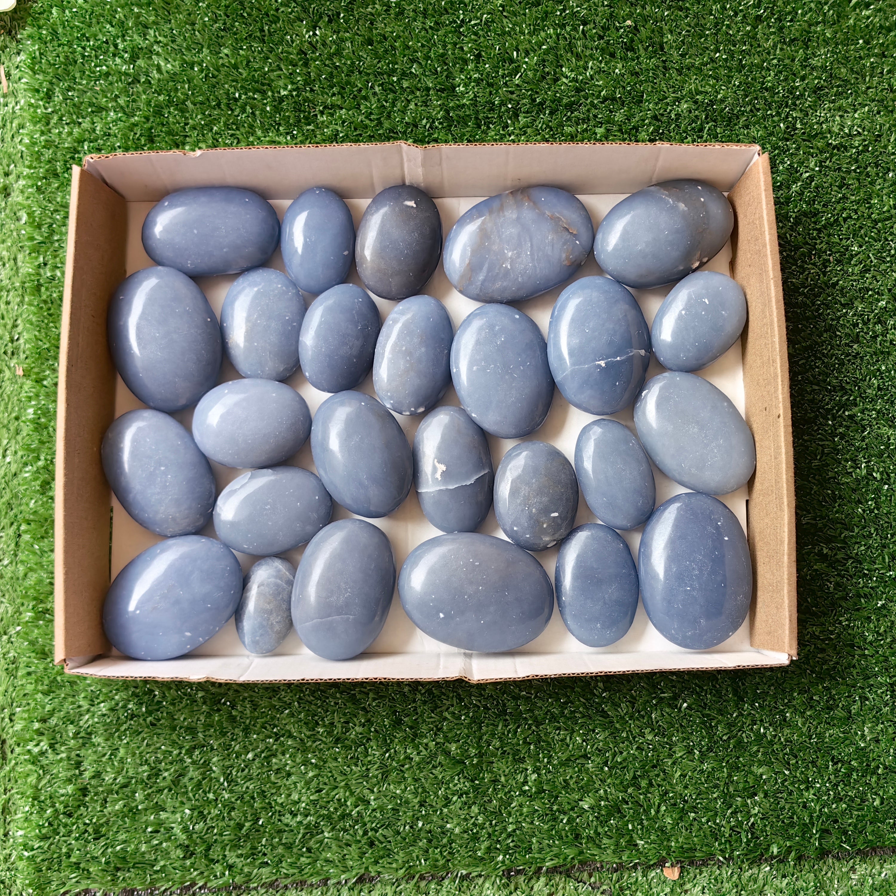 26 pc blue angelite palms