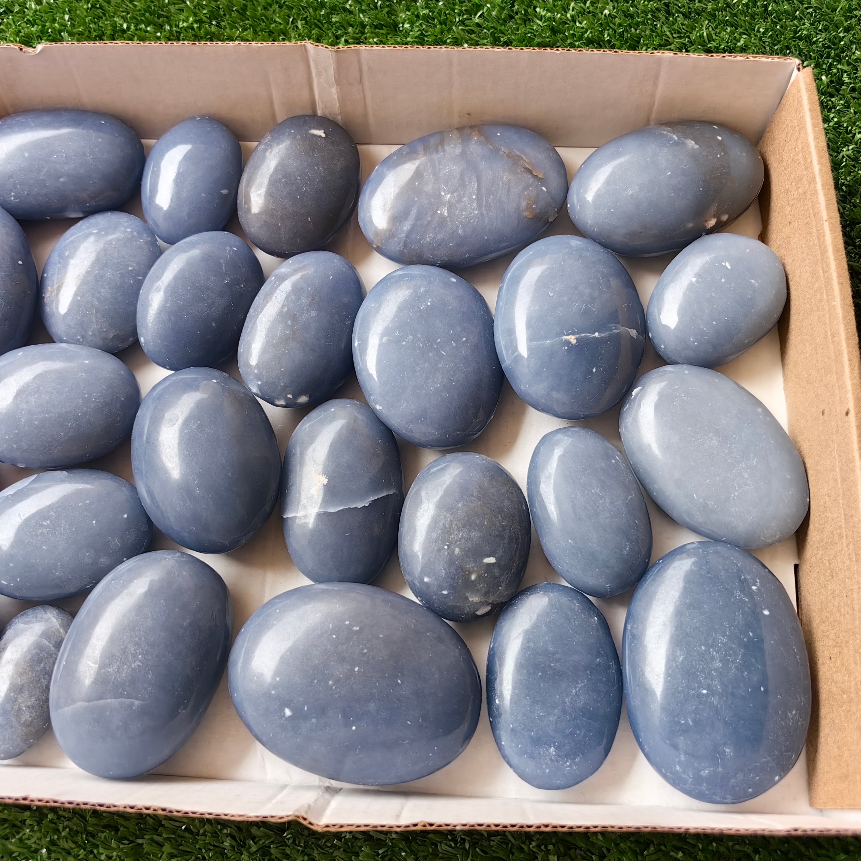 26 pc blue angelite palms