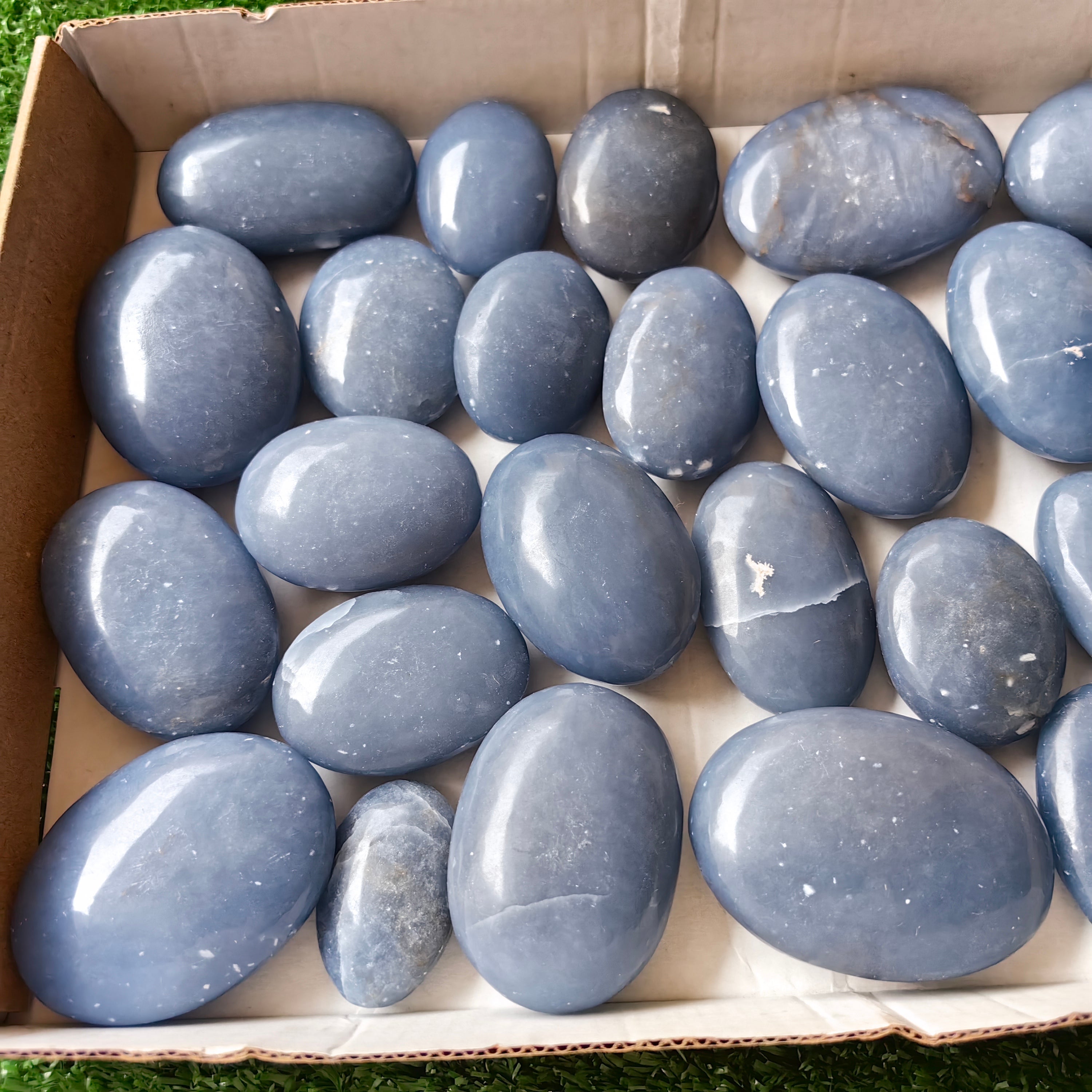 26 pc blue angelite palms