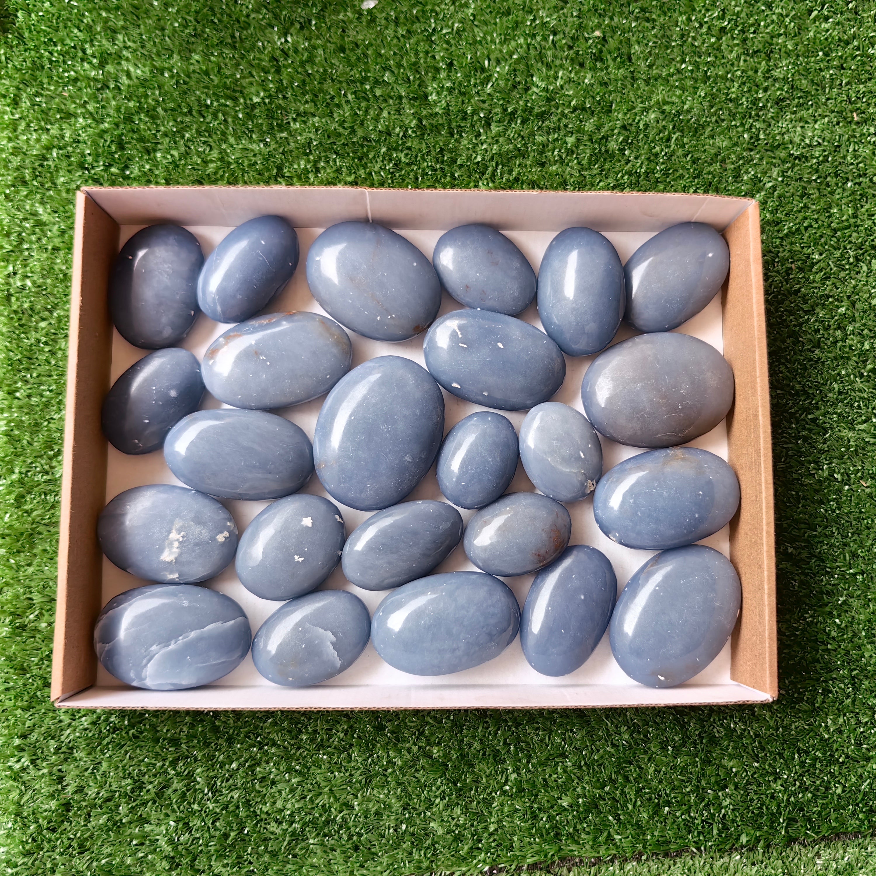 24 pc blue angelite palms