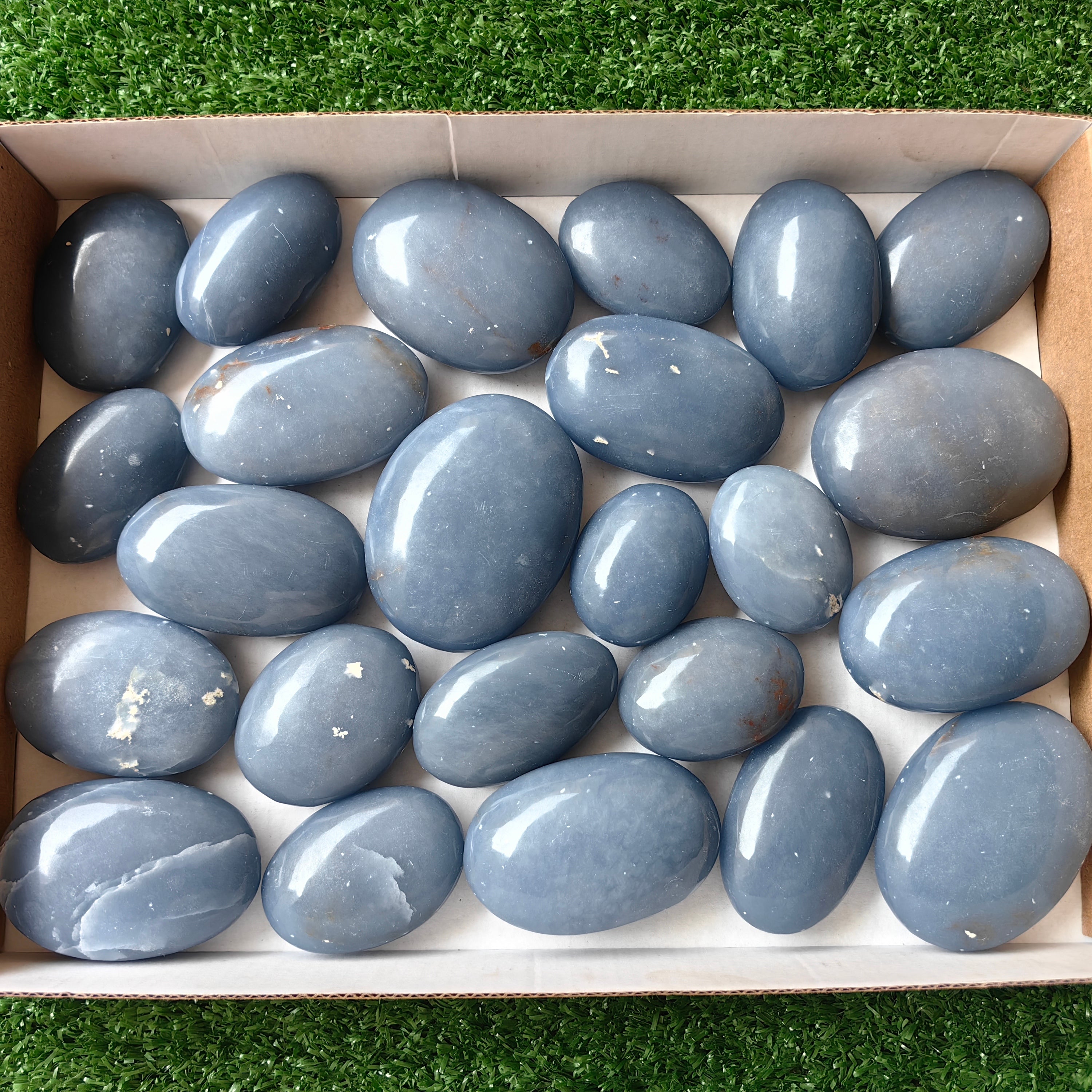 24 pc blue angelite palms