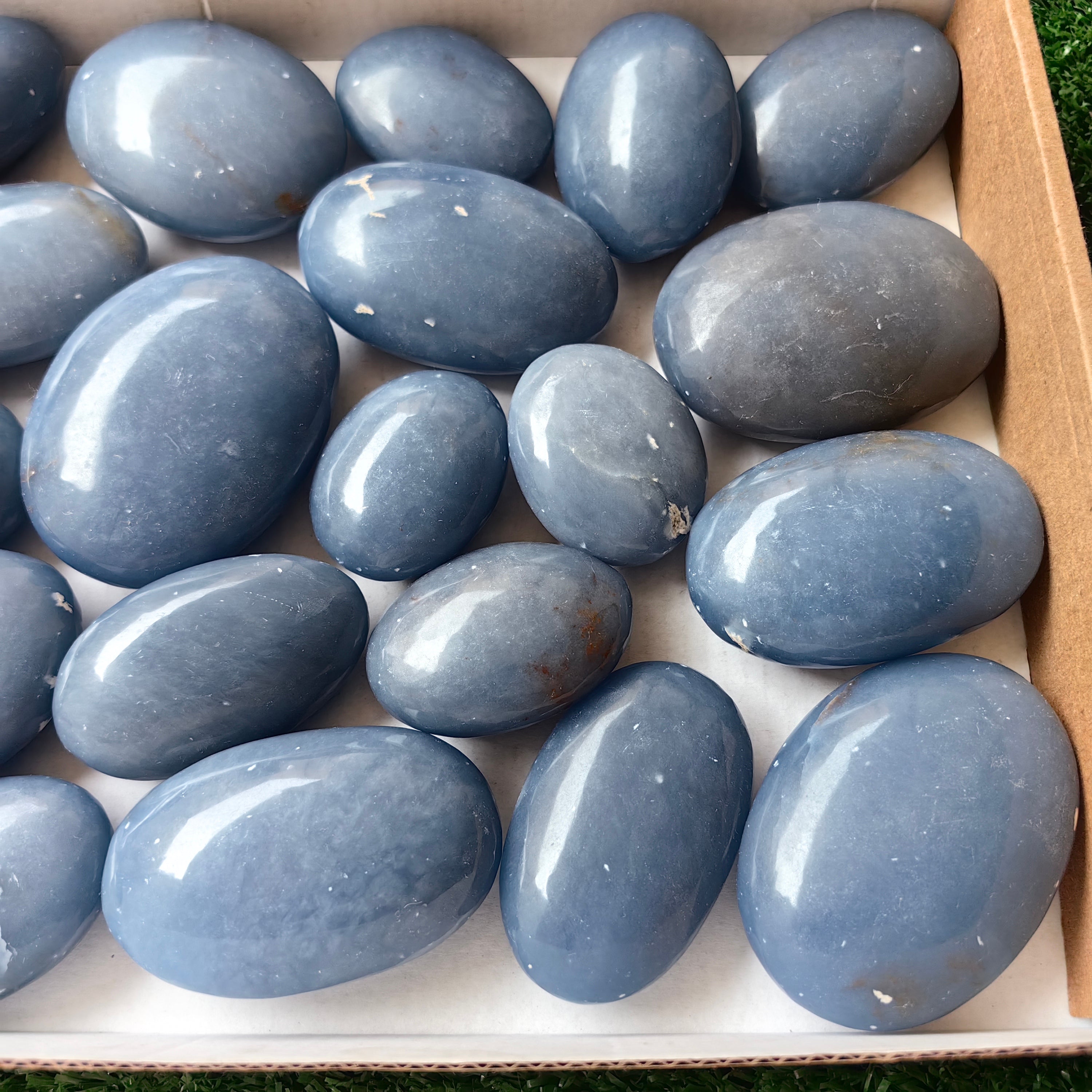 24 pc blue angelite palms