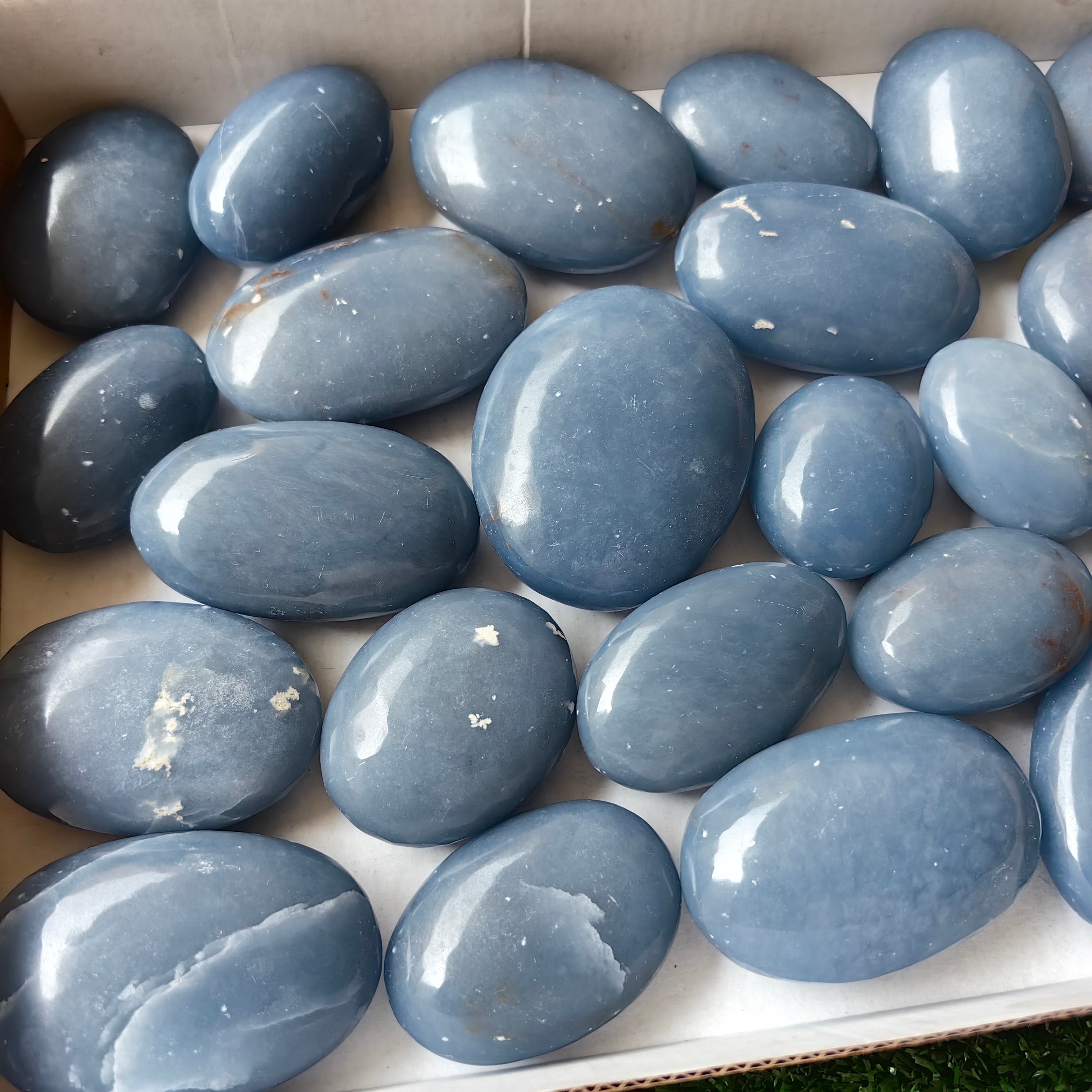 24 pc blue angelite palms