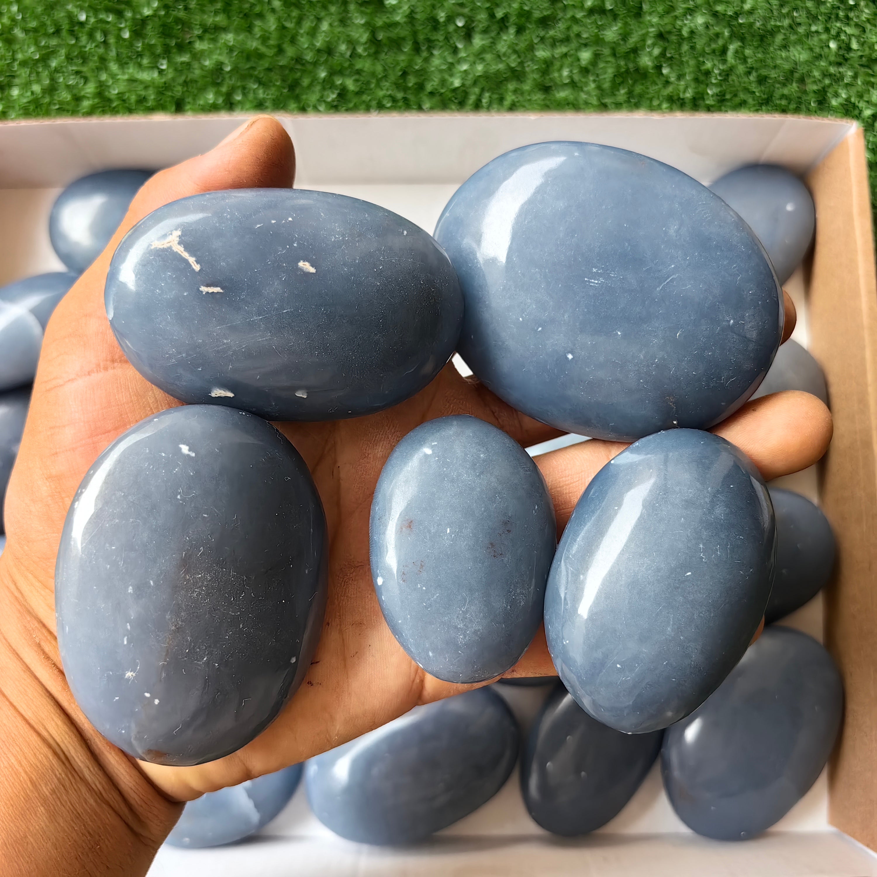24 pc blue angelite palms