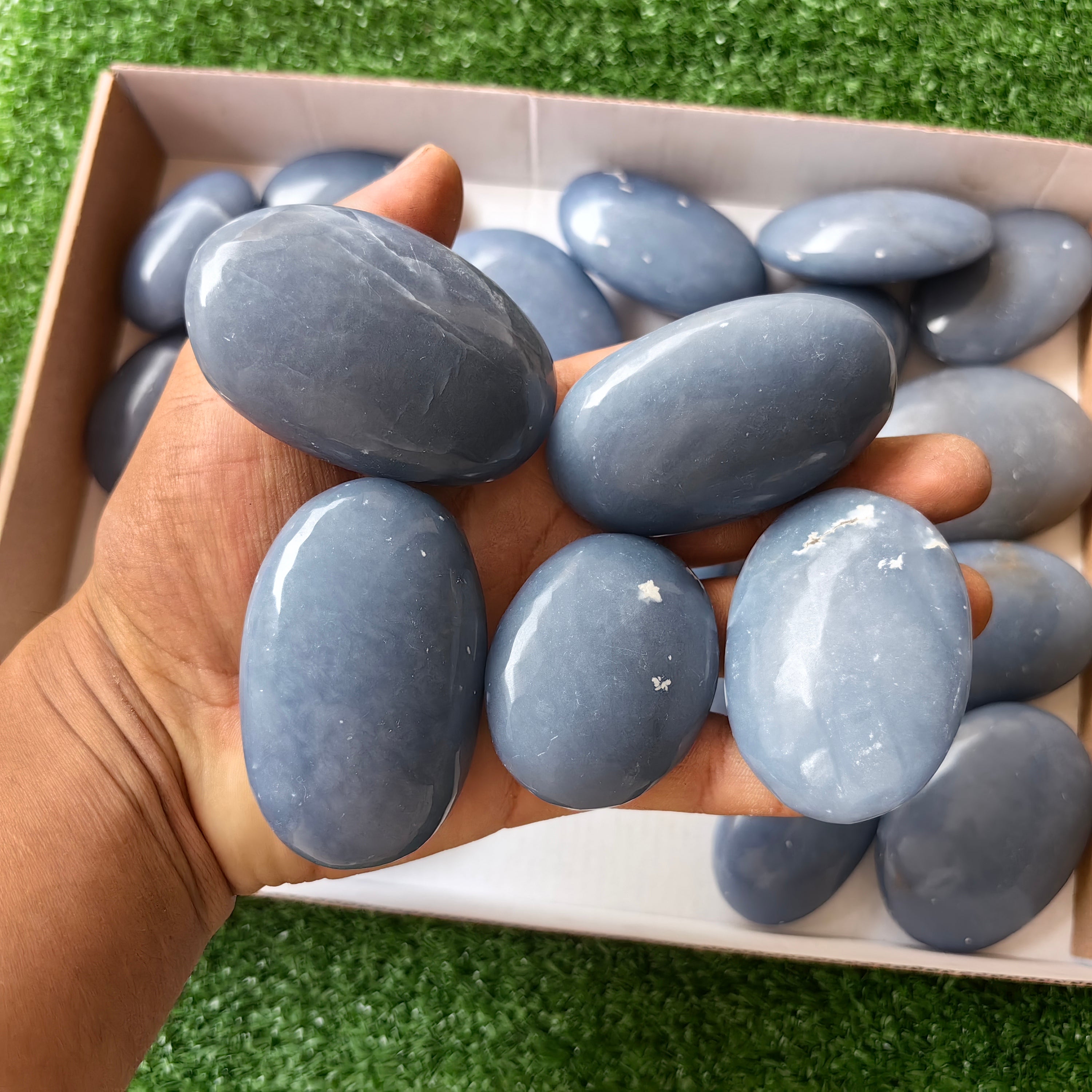24 pc blue angelite palms