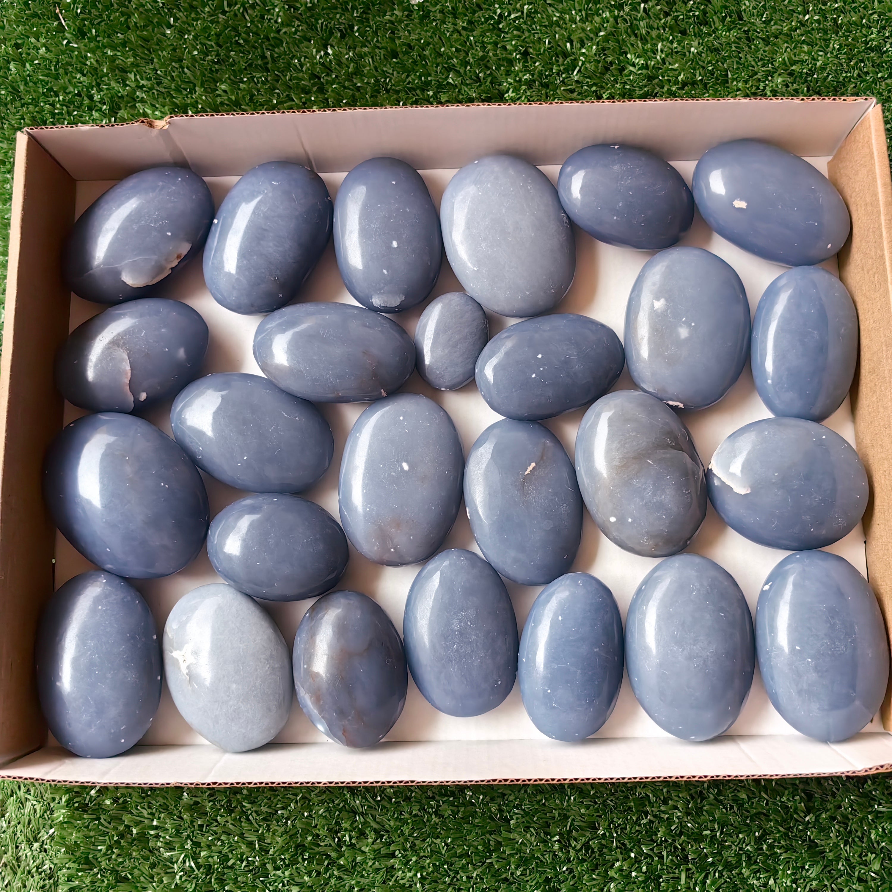 26 pc blue angelite palms