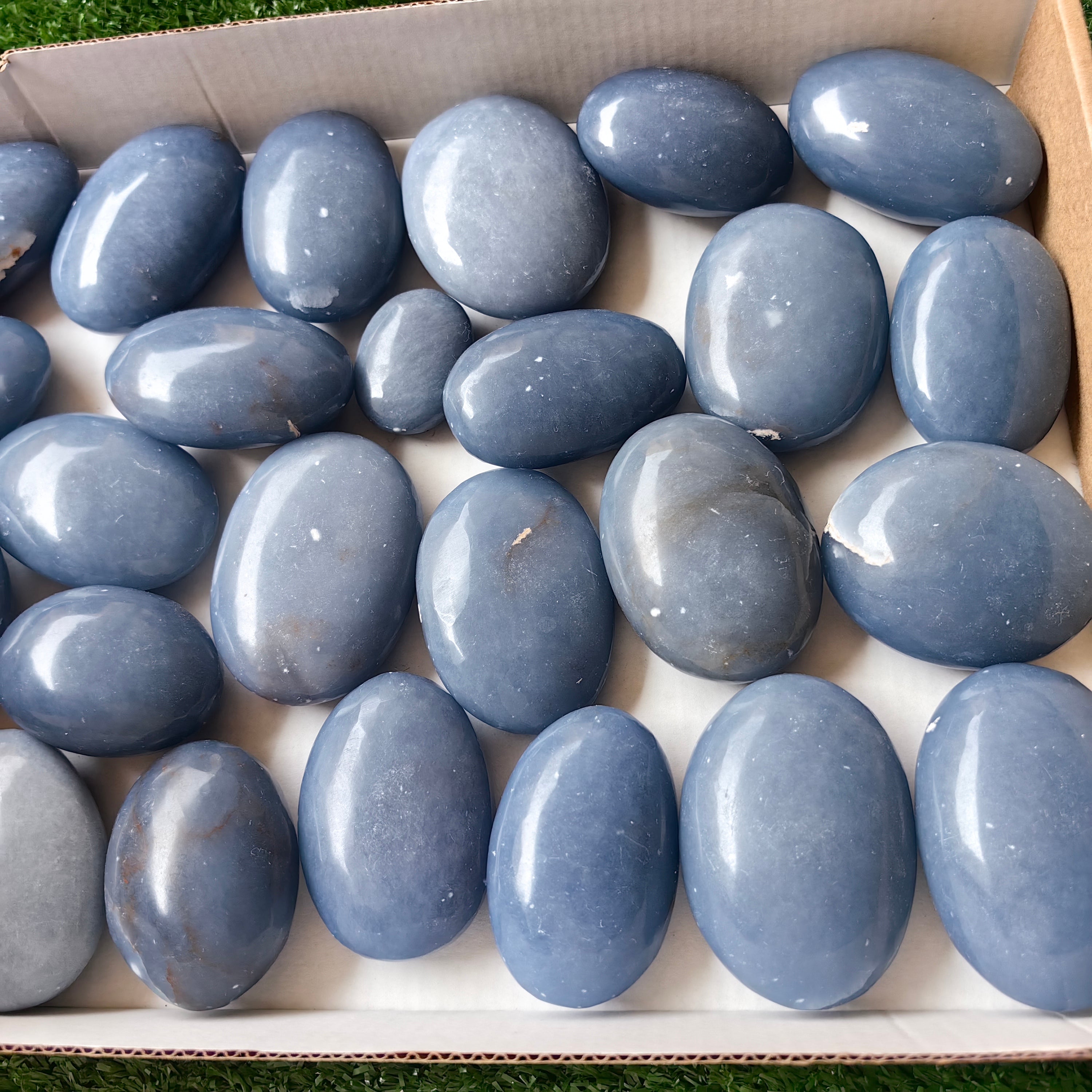 26 pc blue angelite palms