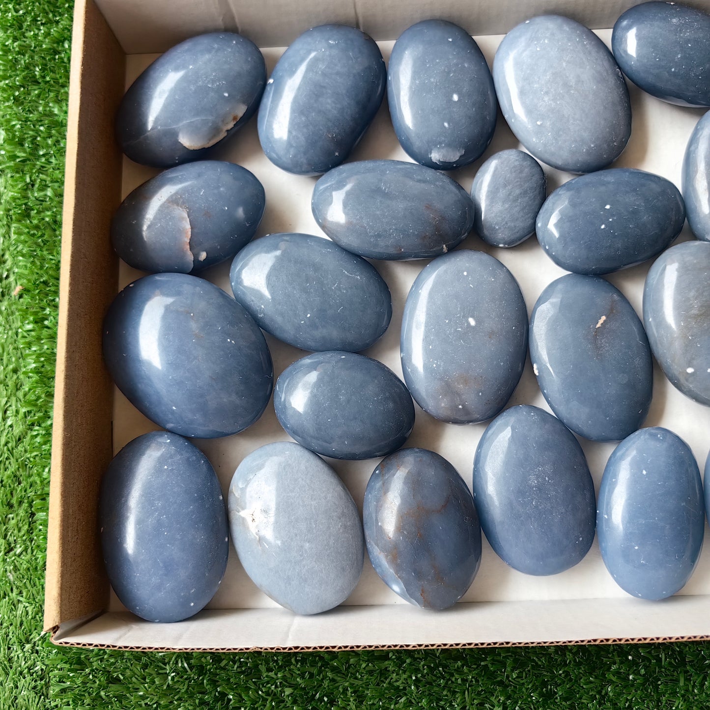 26 pc blue angelite palms