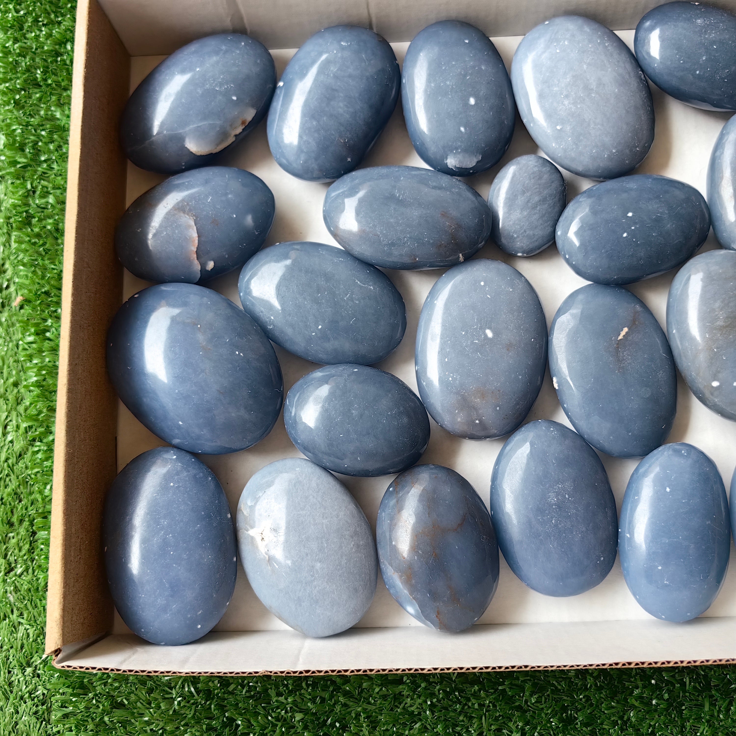 26 pc blue angelite palms